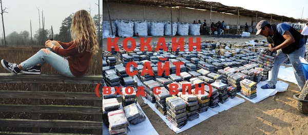соль ск Инсар