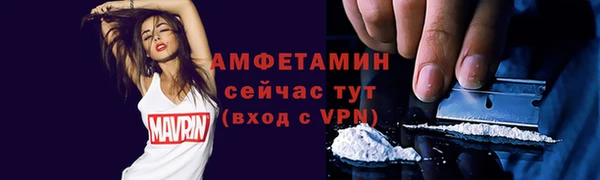 соль ск Инсар