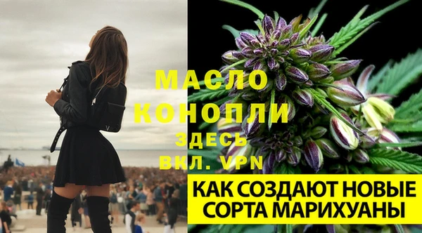 соль ск Инсар