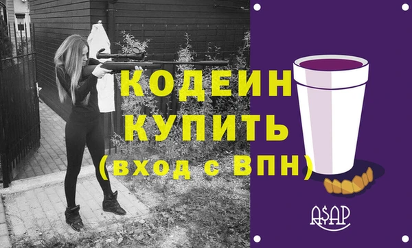 соль ск Инсар