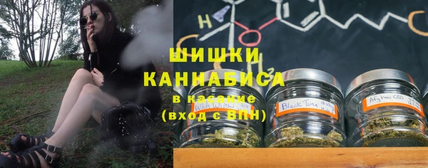 прущие грибы Иннополис