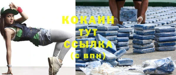 мдпв Инта