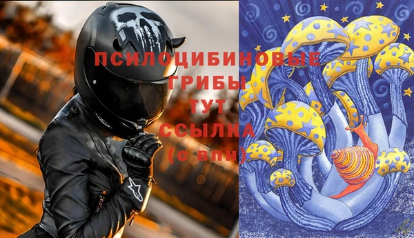 гидропоника Зерноград