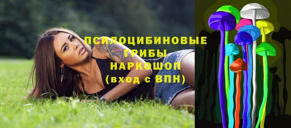 прущие грибы Иннополис
