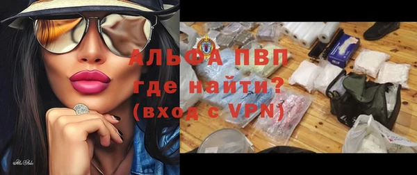 прущие грибы Иннополис